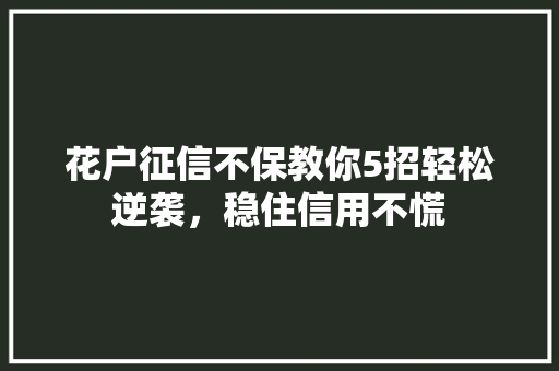 花户征信不保教你5招轻松逆袭，稳住信用不慌  第1张