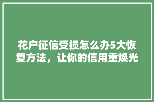 花户征信受损怎么办5大恢复方法，让你的信用重焕光彩