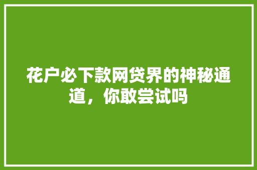 花户必下款网贷界的神秘通道，你敢尝试吗