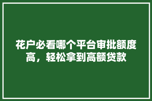 花户必看哪个平台审批额度高，轻松拿到高额贷款