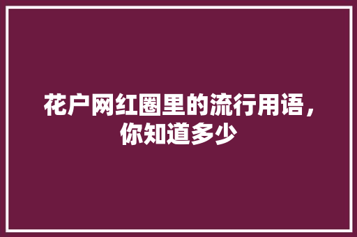 花户网红圈里的流行用语，你知道多少