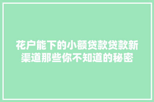 花户能下的小额贷款贷款新渠道那些你不知道的秘密