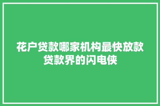 花户贷款哪家机构最快放款贷款界的闪电侠  第1张