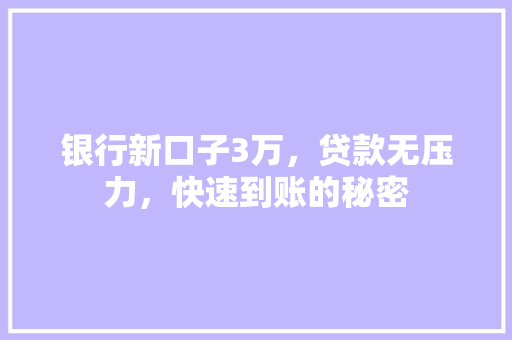 银行新口子3万，贷款无压力，快速到账的秘密
