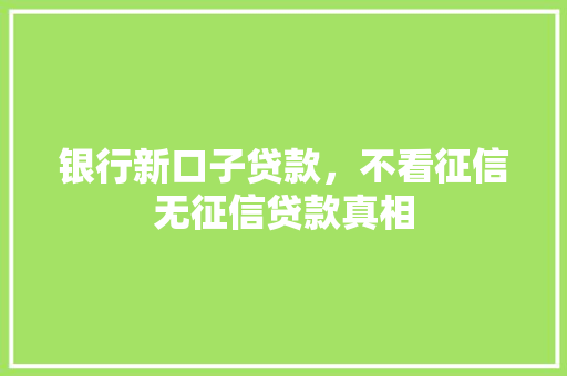 银行新口子贷款，不看征信无征信贷款真相  第1张