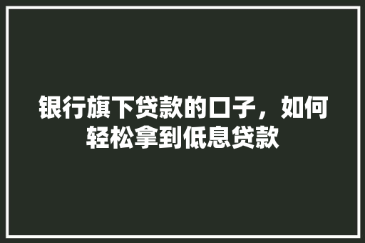 银行旗下贷款的口子，如何轻松拿到低息贷款