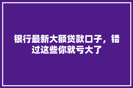 银行最新大额贷款口子，错过这些你就亏大了