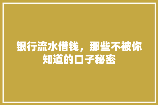 银行流水借钱，那些不被你知道的口子秘密