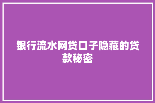 银行流水网贷口子隐藏的贷款秘密  第1张