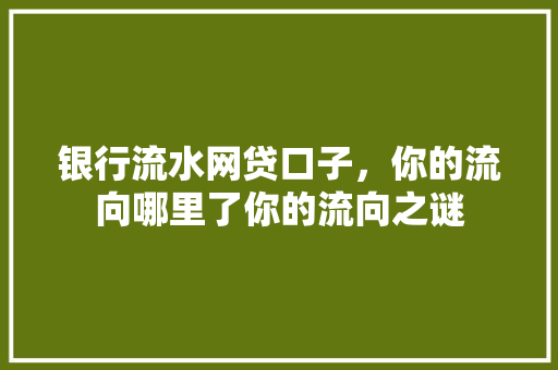 银行流水网贷口子，你的流向哪里了你的流向之谜