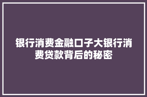 银行消费金融口子大银行消费贷款背后的秘密