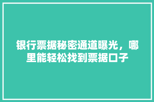 银行票据秘密通道曝光，哪里能轻松找到票据口子