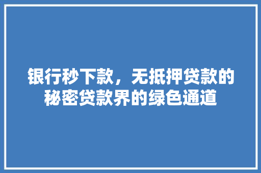 银行秒下款，无抵押贷款的秘密贷款界的绿色通道  第1张
