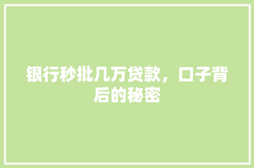 银行秒批几万贷款，口子背后的秘密