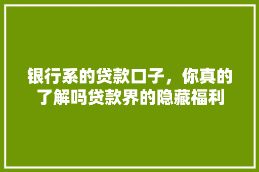 银行系的贷款口子，你真的了解吗贷款界的隐藏福利
