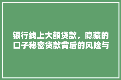 银行线上大额贷款，隐藏的口子秘密贷款背后的风险与机遇