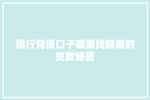 银行背债口子哪里找隐藏的贷款秘密