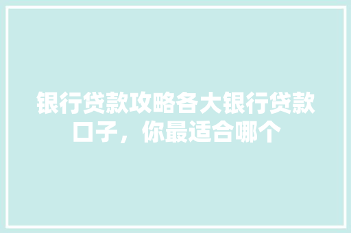 银行贷款攻略各大银行贷款口子，你最适合哪个