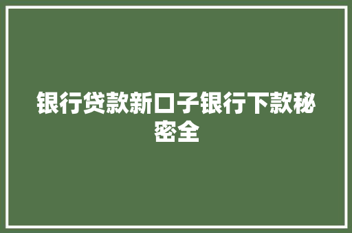银行贷款新口子银行下款秘密全