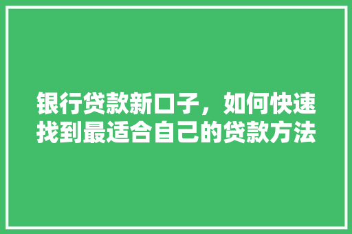 银行贷款新口子，如何快速找到最适合自己的贷款方法