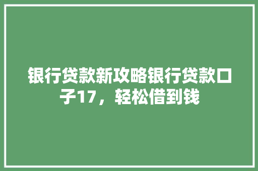 银行贷款新攻略银行贷款口子17，轻松借到钱