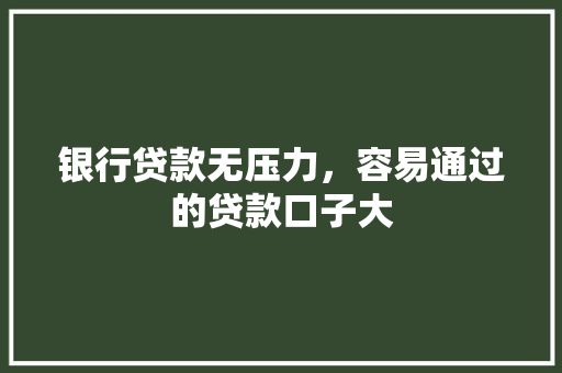银行贷款无压力，容易通过的贷款口子大