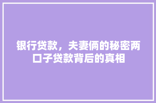 银行贷款，夫妻俩的秘密两口子贷款背后的真相  第1张