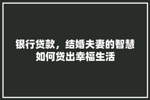 银行贷款，结婚夫妻的智慧如何贷出幸福生活
