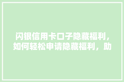 闪银信用卡口子隐藏福利，如何轻松申请隐藏福利，助你轻松拿卡