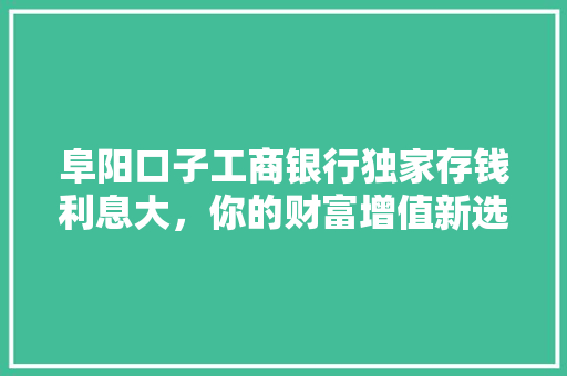 阜阳口子工商银行独家存钱利息大，你的财富增值新选择