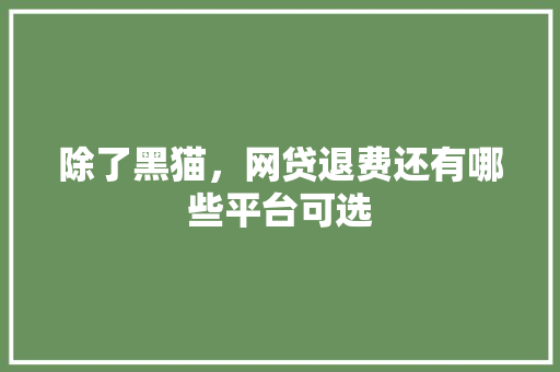除了黑猫，网贷退费还有哪些平台可选