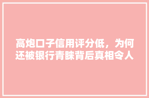高炮口子信用评分低，为何还被银行青睐背后真相令人震惊