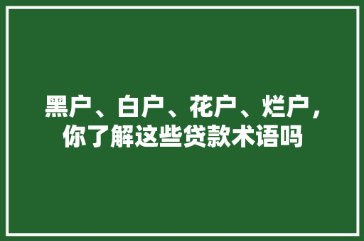 黑户、白户、花户、烂户，你了解这些贷款术语吗
