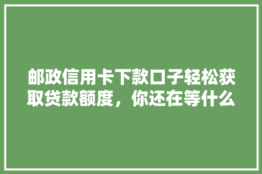 邮政信用卡下款口子轻松获取贷款额度，你还在等什么