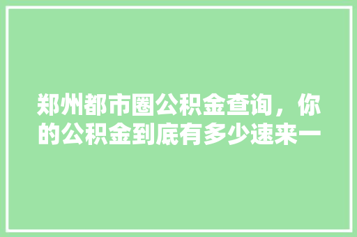 郑州都市圈公积金查询，你的公积金到底有多少速来一竟