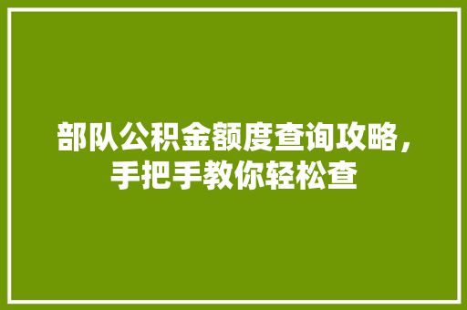 部队公积金额度查询攻略，手把手教你轻松查