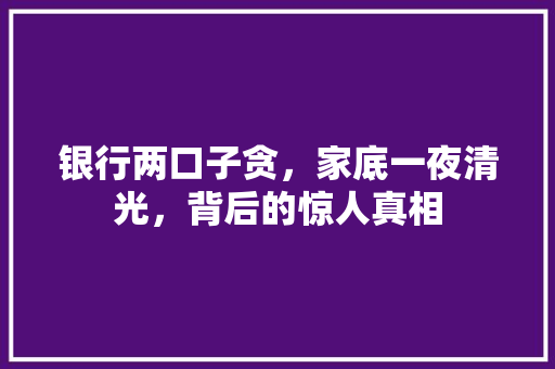 银行两口子贪，家底一夜清光，背后的惊人真相