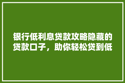 银行低利息贷款攻略隐藏的贷款口子，助你轻松贷到低息款