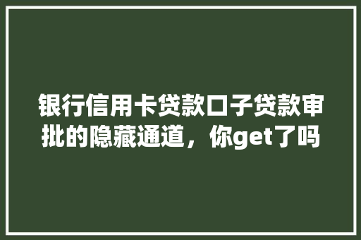 银行信用卡贷款口子贷款审批的隐藏通道，你get了吗