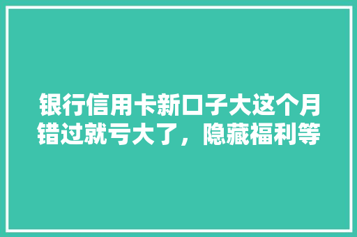 银行信用卡新口子大这个月错过就亏大了，隐藏福利等你来拿