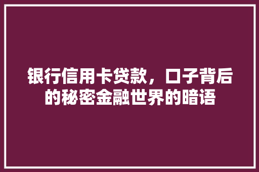 银行信用卡贷款，口子背后的秘密金融世界的暗语