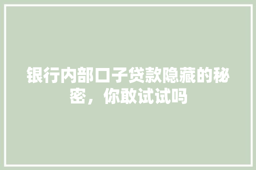 银行内部口子贷款隐藏的秘密，你敢试试吗