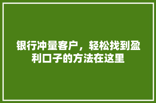 银行冲量客户，轻松找到盈利口子的方法在这里