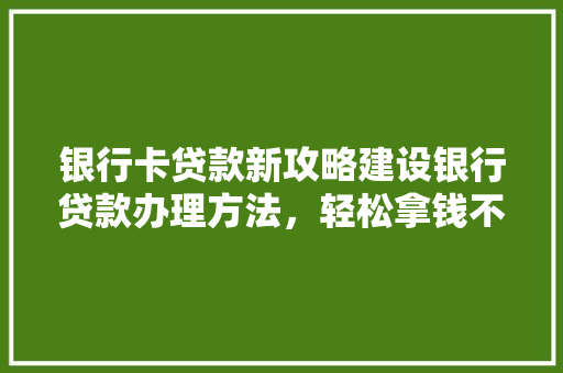 银行卡贷款新攻略建设银行贷款办理方法，轻松拿钱不是梦