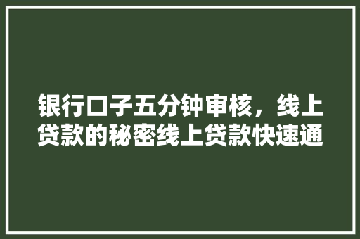 银行口子五分钟审核，线上贷款的秘密线上贷款快速通道