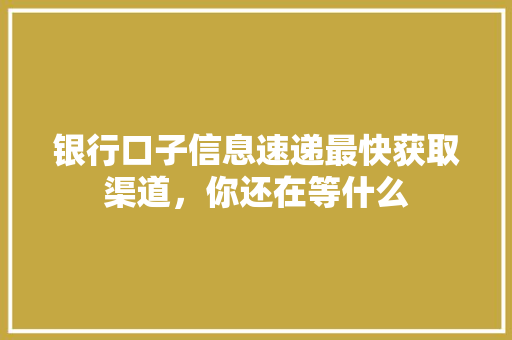 银行口子信息速递最快获取渠道，你还在等什么  第1张