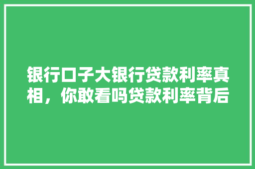 银行口子大银行贷款利率真相，你敢看吗贷款利率背后的秘密