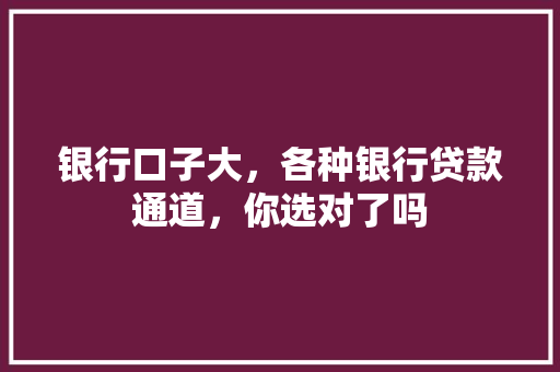 银行口子大，各种银行贷款通道，你选对了吗