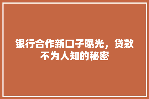 银行合作新口子曝光，贷款不为人知的秘密
