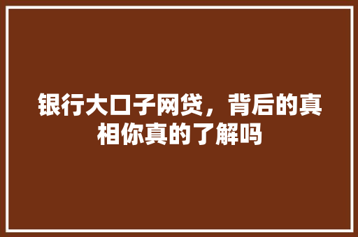 银行大口子网贷，背后的真相你真的了解吗
